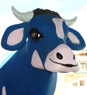 Vaca-Azul---Vaca---Cut