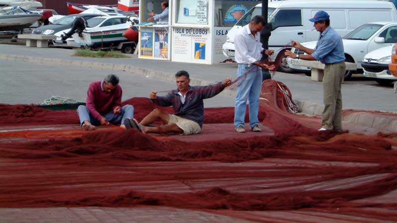 Corralejo 6