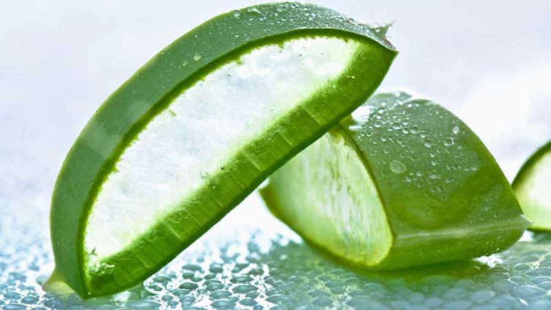 Aloe Vera